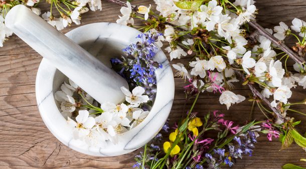Flower Essence Therapy