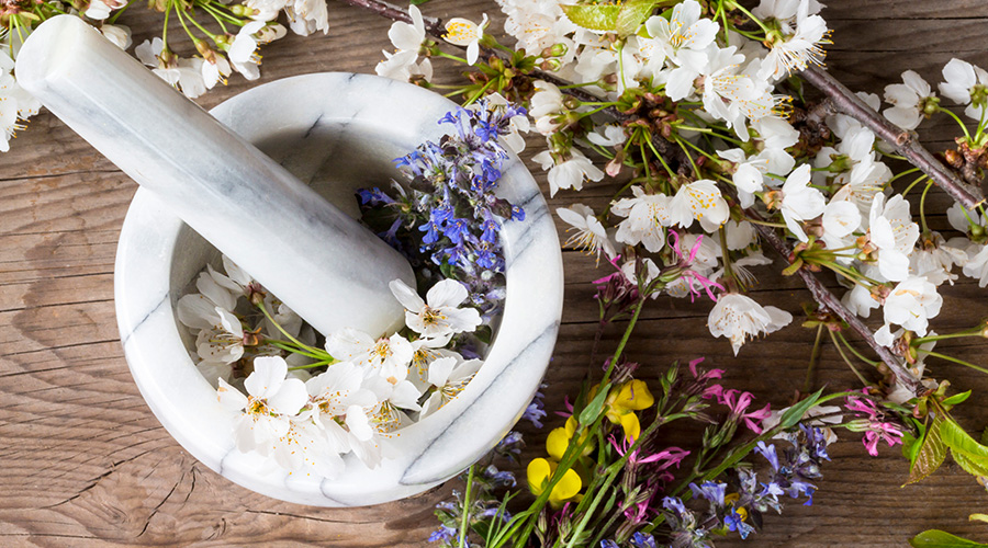 Flower Essence Therapy